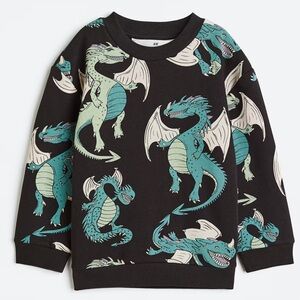 H&M Dragon Print Sweatshirt🐉